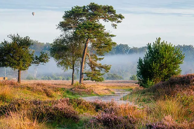 Molecaten Park Landgoed Ginkelduin