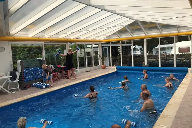 Bosveen