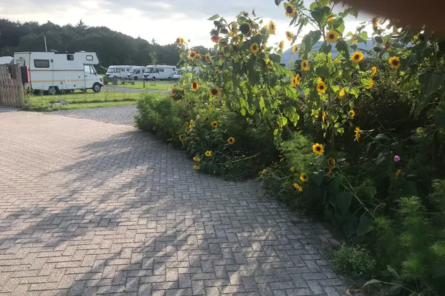 Camperplaats De Pol