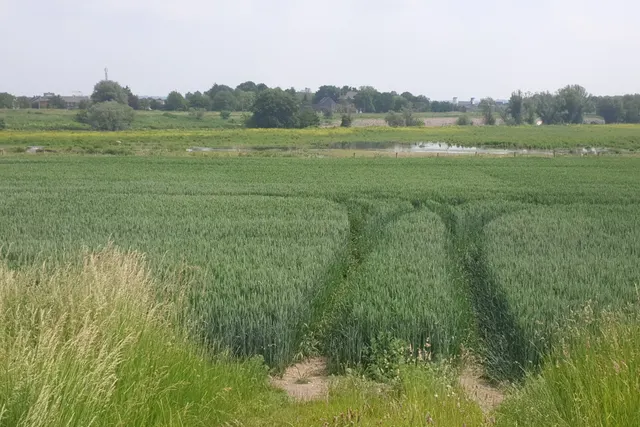 Hoeve De Ploeg