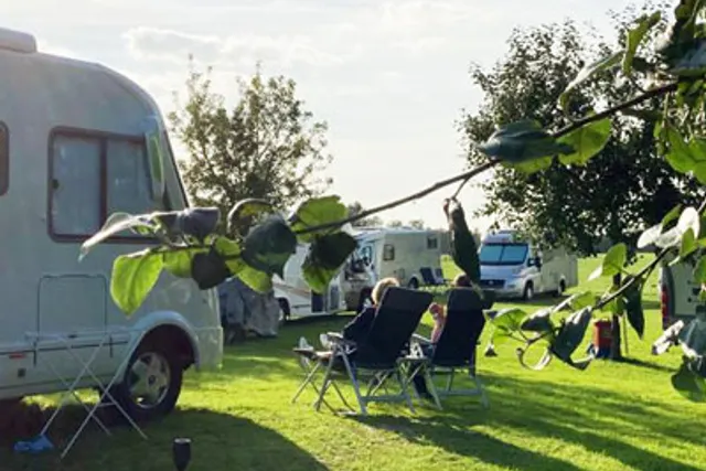 Camperplaats De Zwaan