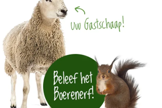 Camping 't Boerenerf