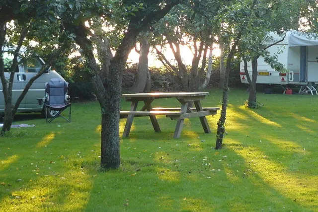 Natuurkampeerterrein Wildemansheerd