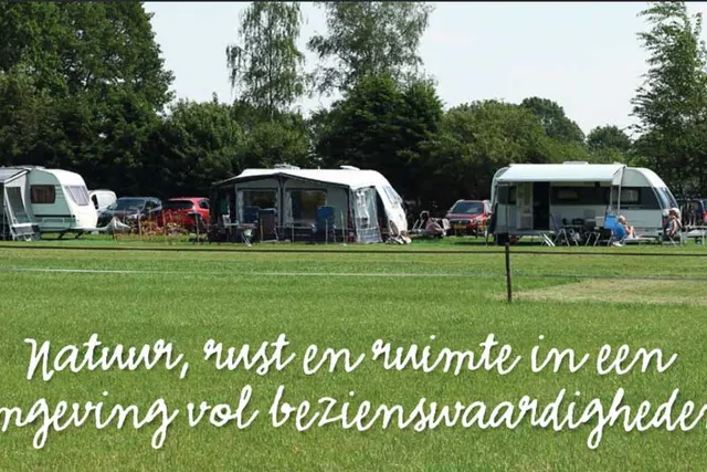 De Hoge Bomen