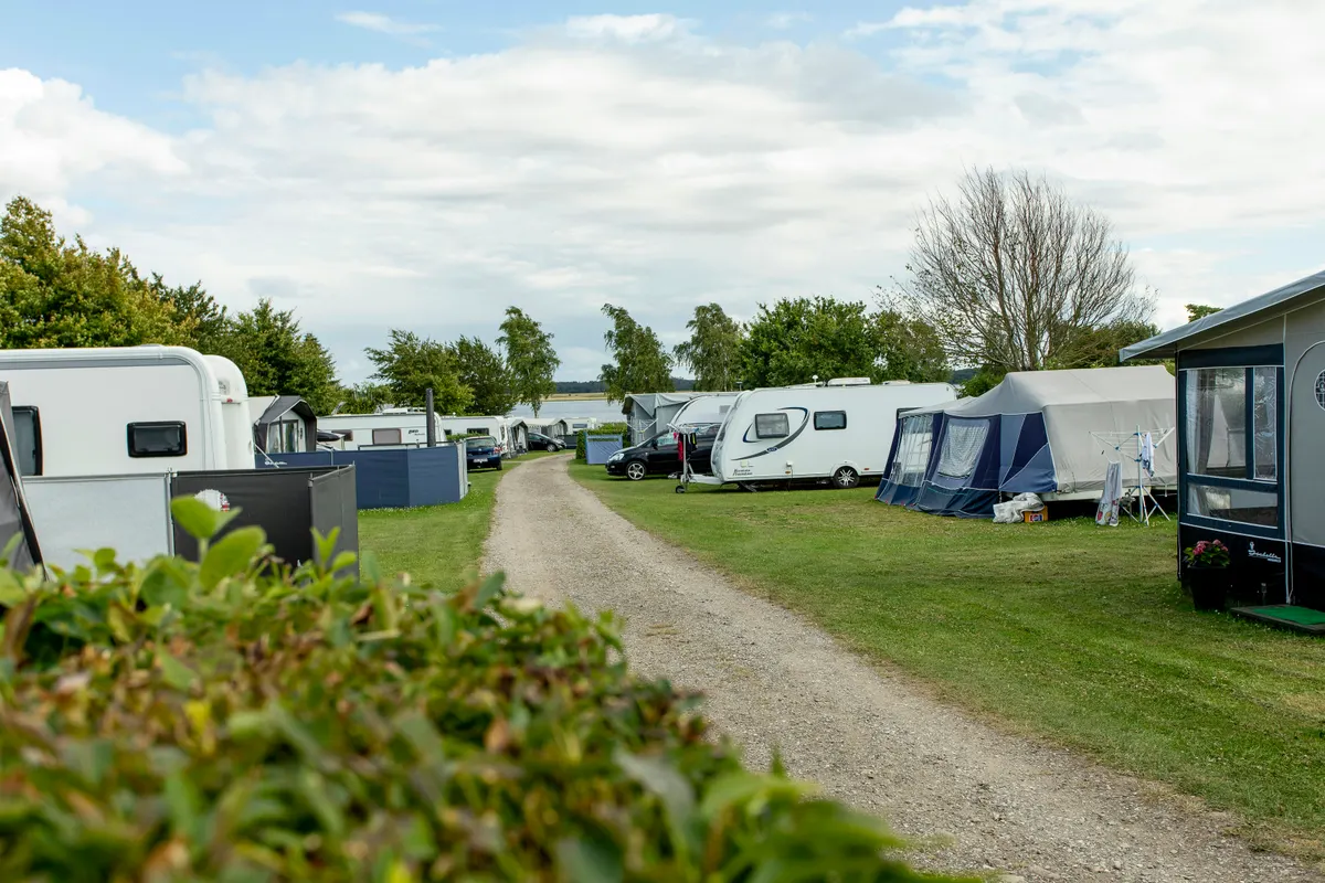 De Hvide Svaner Camping