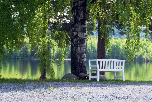 Sörälgens Camping