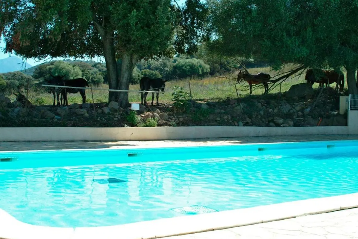 Camping U Sommalu