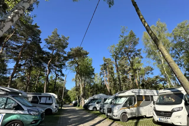 Camper Park Stogi 114