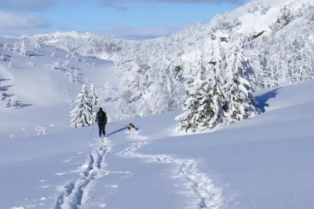 Rjukan Hytte- og Caravanpark