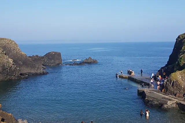 Newtown Cove Caravan Park