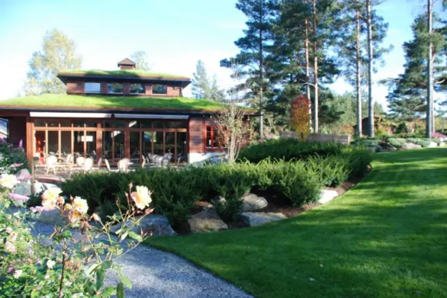 Camping Odden