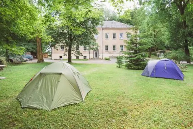 Downtown Forest Camping