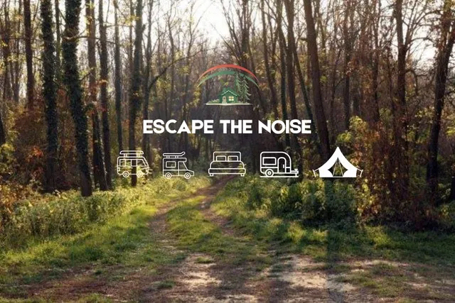 Koppány Pines Camping