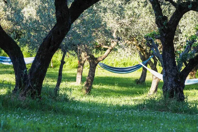 Kokopelli Camping