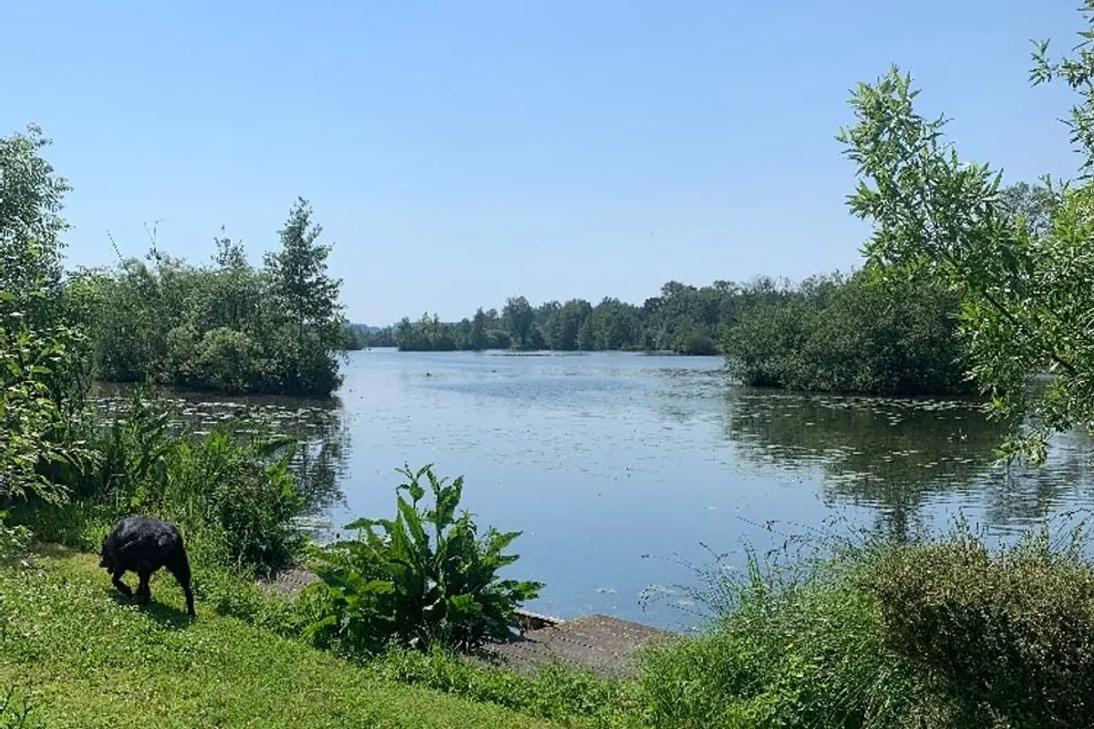 Camping Des Rosiers