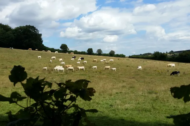 Dunn Street Farm