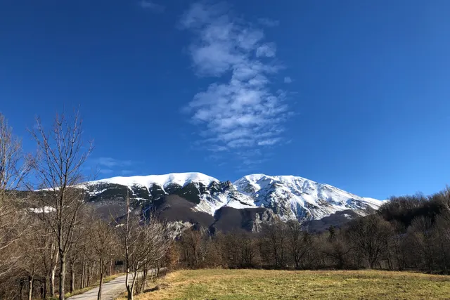 Agricampeggio Colle dei Lupi