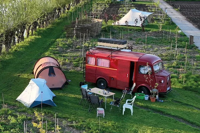 Voedselbos Camping Koperwiek