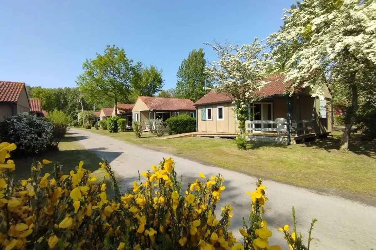 CARAVANING L'OREE DU BOIS