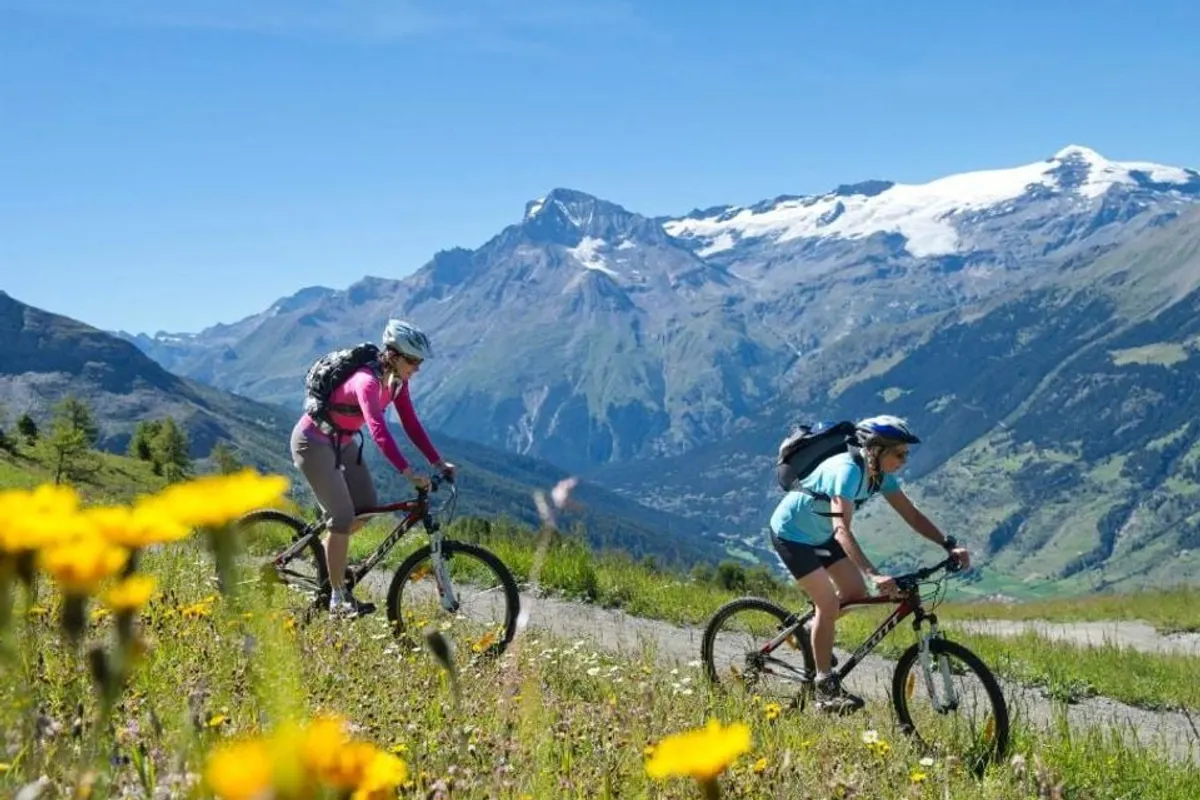 VVF Villages - Le Parc de la Vanoise - Lanslevillard