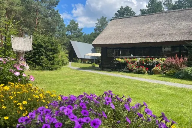 Leśna przystań