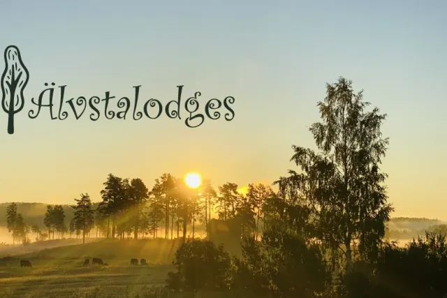 Älvstalodges