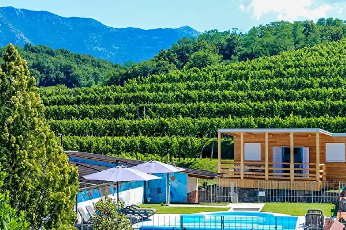 Saksida Wine & Camping Resort