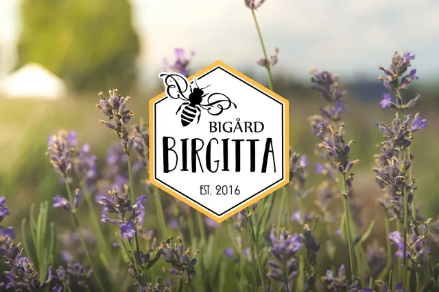 Bigård Birgittas ställplats