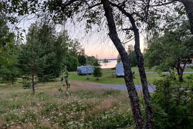 Koivuniemi
