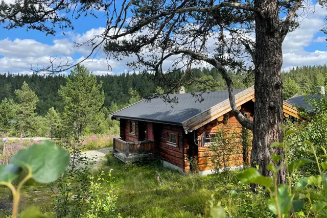 Friisvegen Turistsenter Måsåplassen
