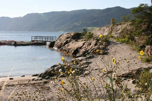 Tråsåvika Camping