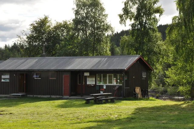 Ål Camping