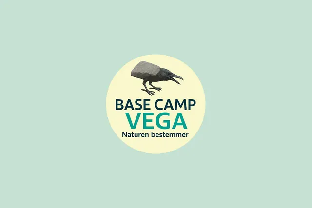 Basecamp Vega