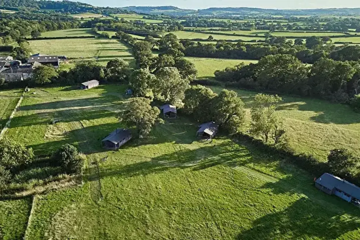 Mount Pleasant Farm - Feather Down