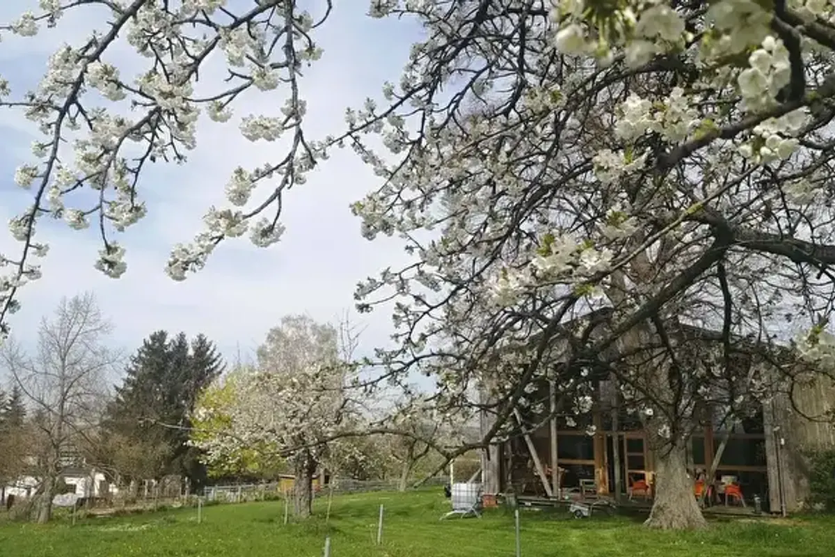 Camping Mio Made In Ottendorf