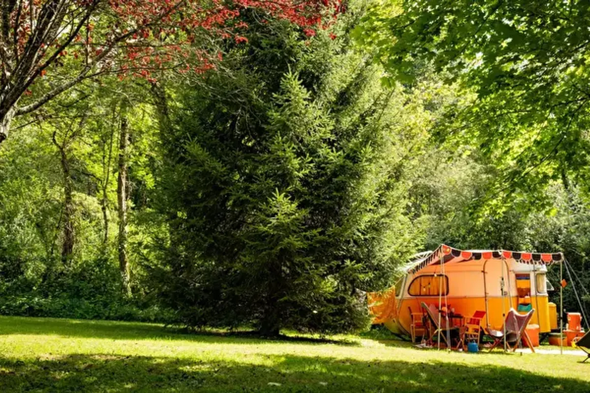 Camping Petit Bois - Onlycamp