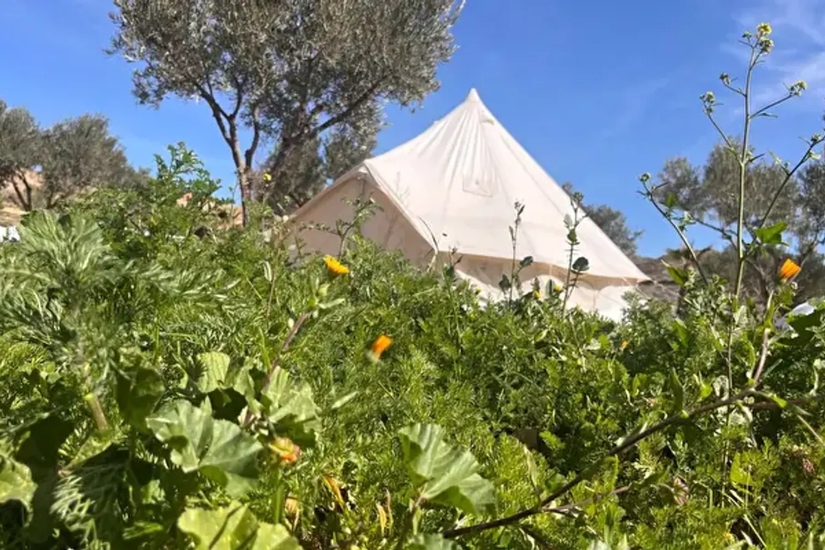 Oasis Al-Hamam