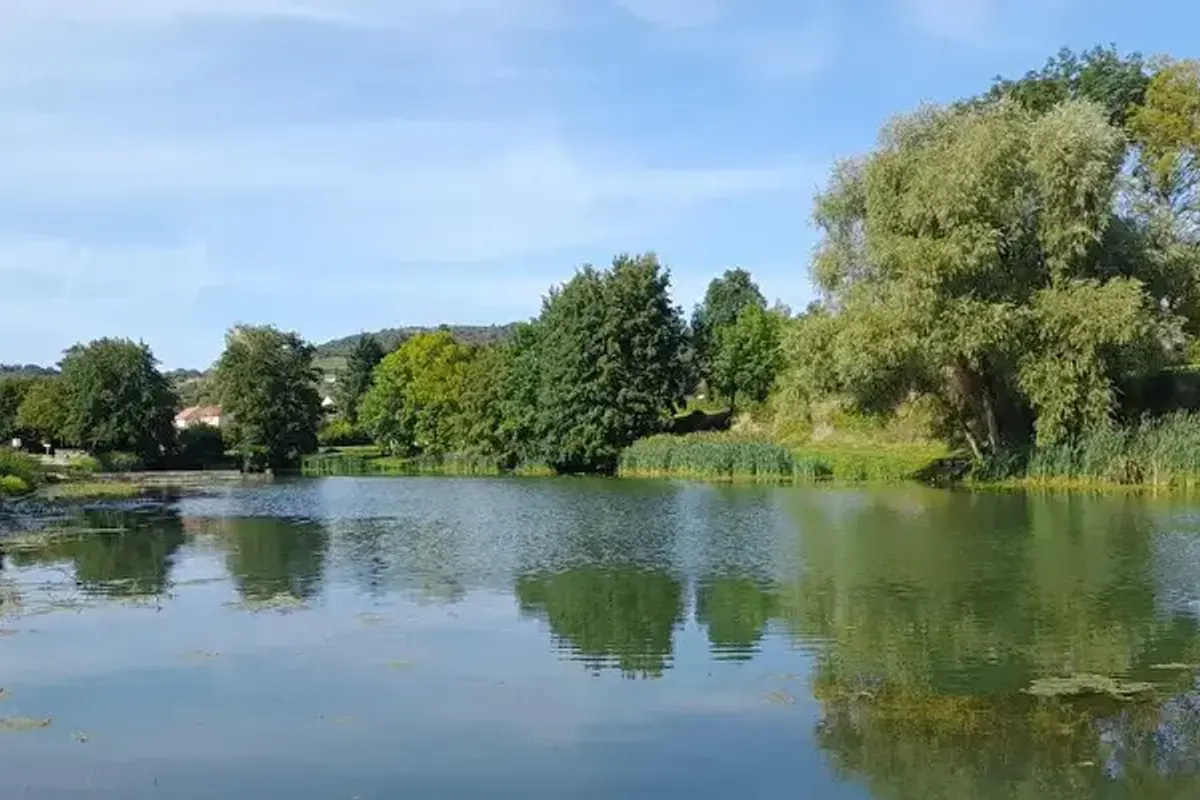 Camping Les Chaumes du Mont - Onlycamp