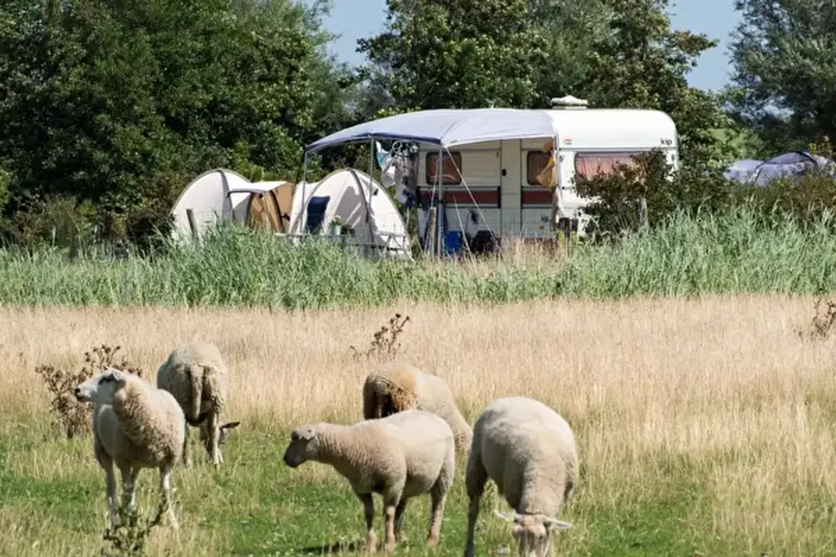 Landschapscamping Kijkuit
