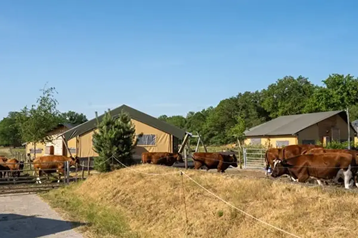 FarmCamps Hoeve Luyterheyde