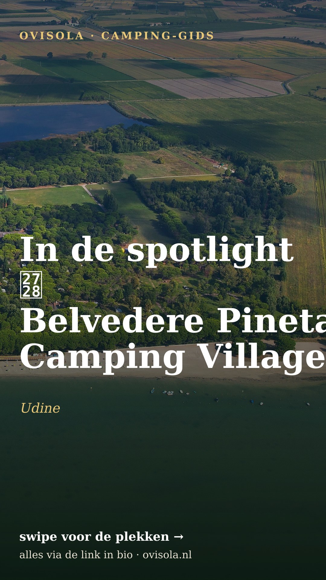 In de spotlight ✨ Belvedere Pineta Camping Village