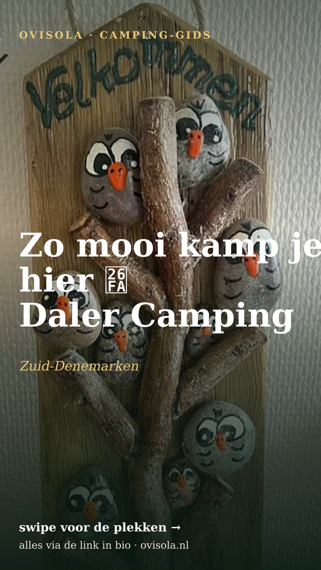 Zo mooi kamp je hier ⛺ Daler Camping