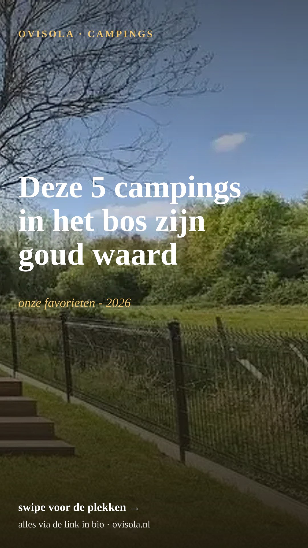 Deze 5 campings in het bos zijn goud waard